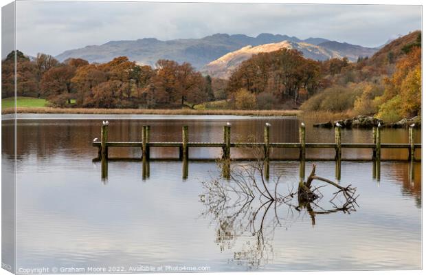 Windermere early morning Canvas Print by Graham Moore