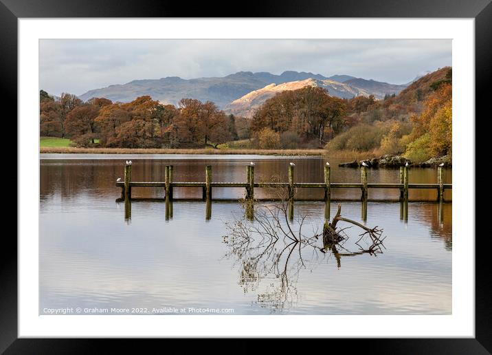 Windermere early morning Framed Mounted Print by Graham Moore