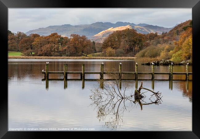 Windermere early morning Framed Print by Graham Moore