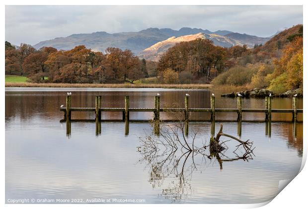 Windermere early morning Print by Graham Moore