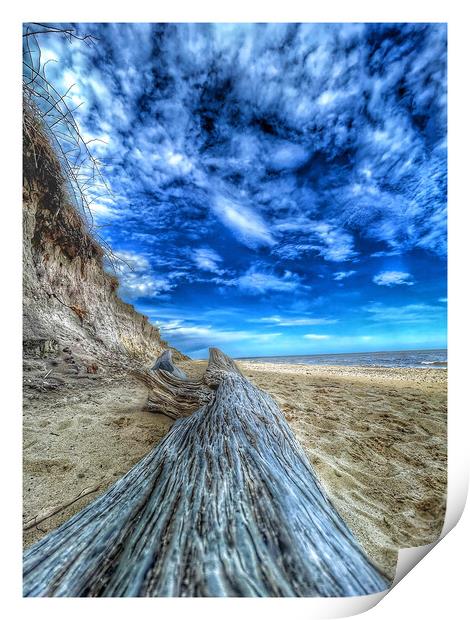 Cove Hithe Driftwood Beach Print by johnny weaver