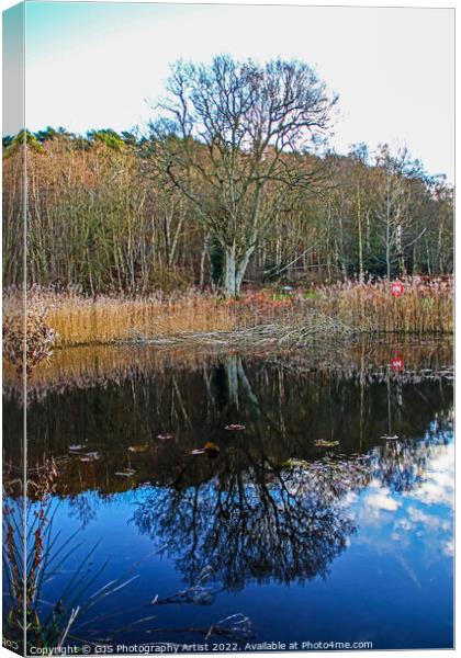 Reflections in the Pond Canvas Print by GJS Photography Artist