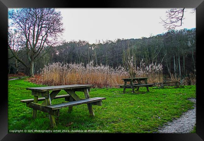 Pic a Nic Tables by Pond Framed Print by GJS Photography Artist