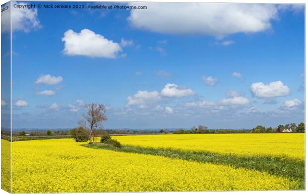 Rapeseed Oil Flowers Field in the Cotswolds  Canvas Print by Nick Jenkins