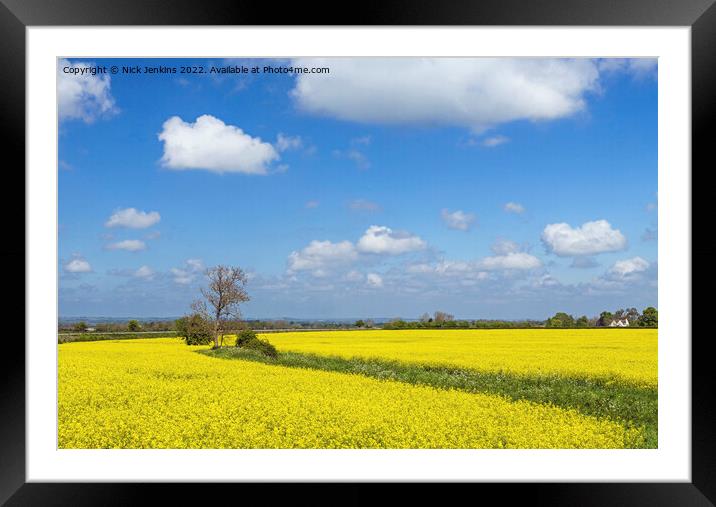 Rapeseed Oil Flowers Field in the Cotswolds  Framed Mounted Print by Nick Jenkins