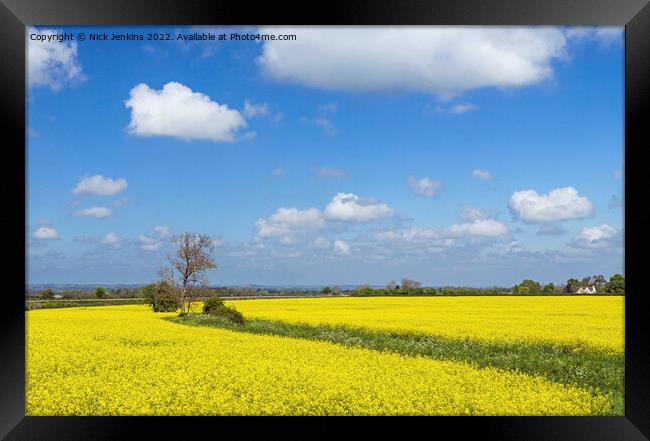 Rapeseed Oil Flowers Field in the Cotswolds  Framed Print by Nick Jenkins