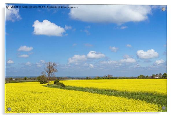 Rapeseed Oil Flowers Field in the Cotswolds  Acrylic by Nick Jenkins