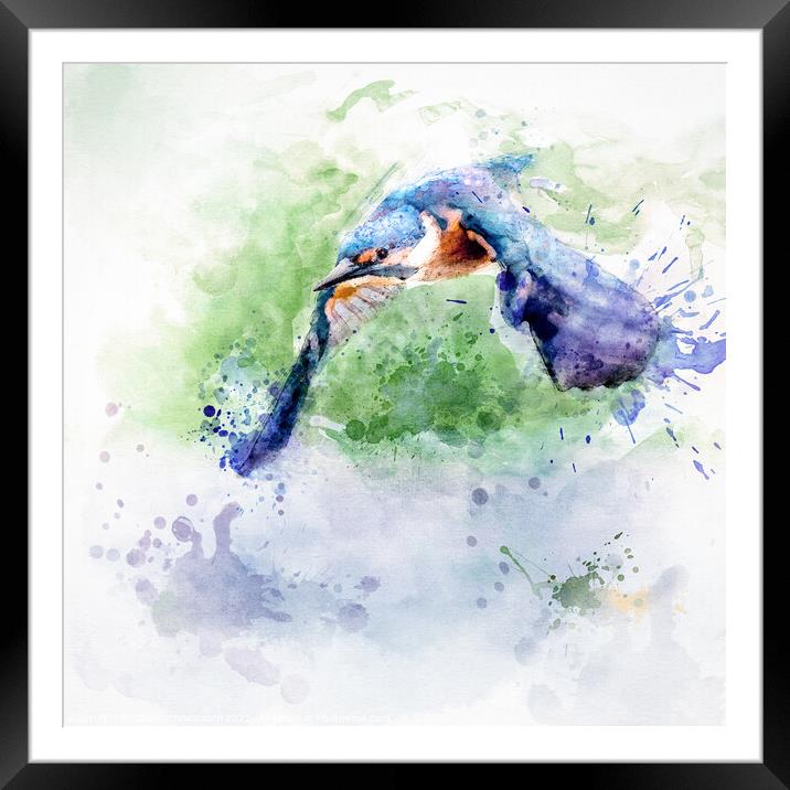Flying kingfisher Framed Mounted Print by Silvio Schoisswohl