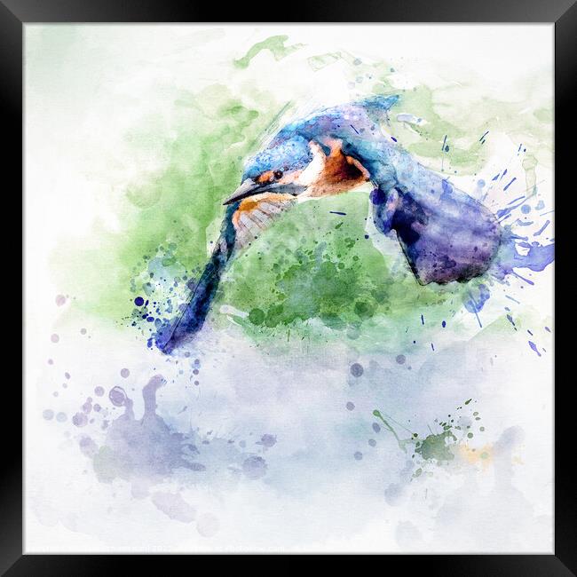 Flying kingfisher Framed Print by Silvio Schoisswohl