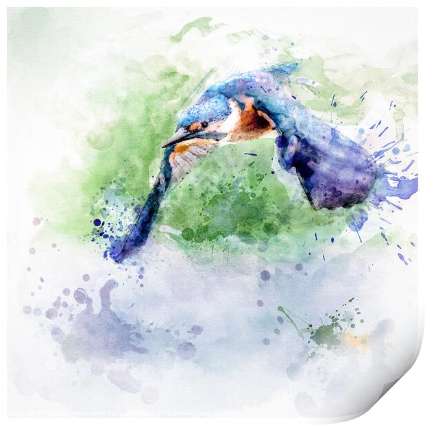 Flying kingfisher Print by Silvio Schoisswohl