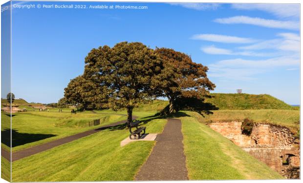 Berwick-upon-Tweed Ramparts Walk Northumberland Canvas Print by Pearl Bucknall