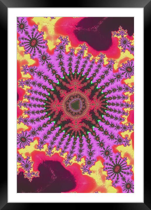 Trippy Daisies Framed Mounted Print by Vickie Fiveash