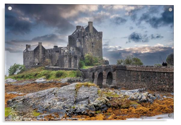 Scotland's Timeless Eilean Donan Castle Acrylic by Gilbert Hurree