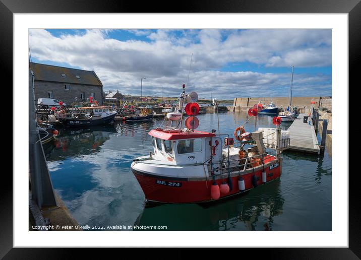 Whitehills Harbour, Aberdeenshire Framed Mounted Print by Peter O'Reilly