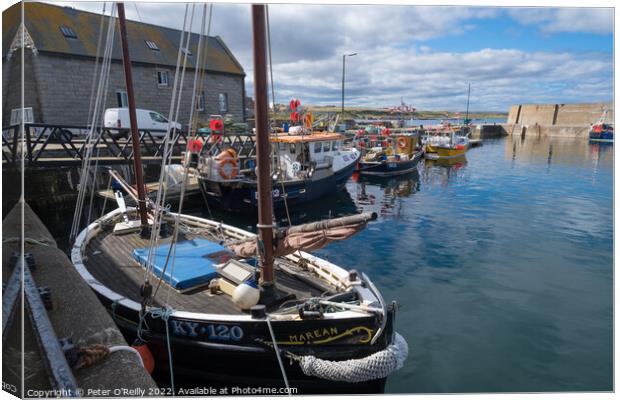 Whitehills Harbour, Aberdeenshire Canvas Print by Peter O'Reilly