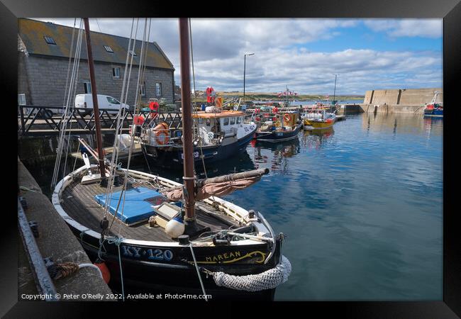 Whitehills Harbour, Aberdeenshire Framed Print by Peter O'Reilly