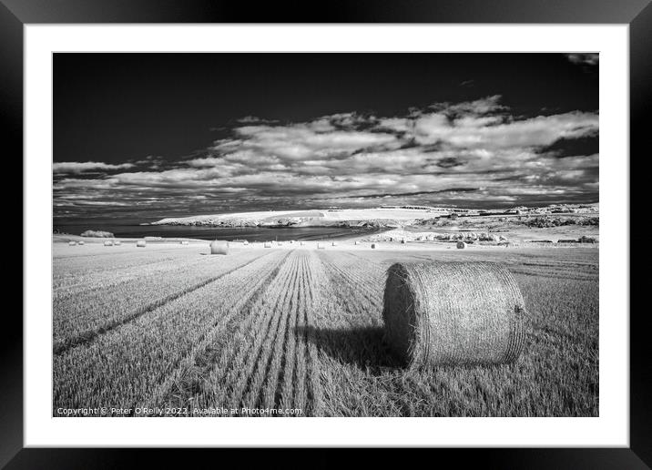 Harvest Time at Sandend Framed Mounted Print by Peter O'Reilly