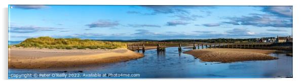 Lossiemouth East Beach and Bridge Panorama Acrylic by Peter O'Reilly