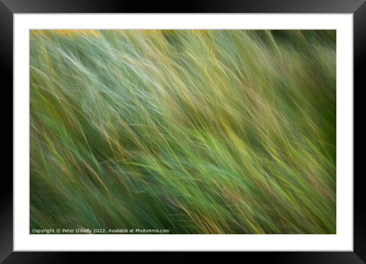 Flowing Grasses Framed Mounted Print by Peter O'Reilly