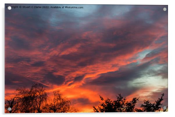 Winter sunset Acrylic by Stuart C Clarke