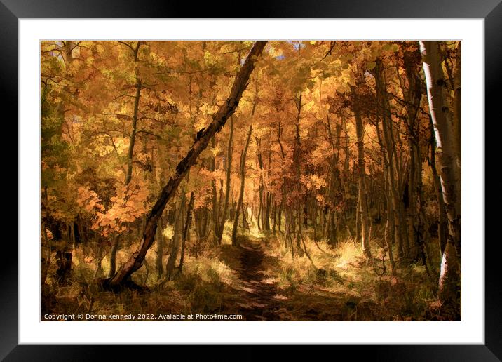 Down the Golden Path Framed Mounted Print by Donna Kennedy