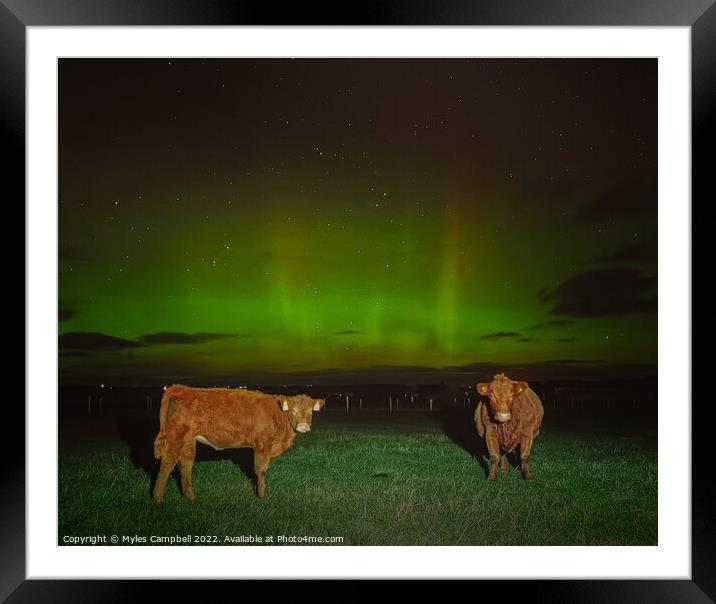 Luings under the lights  Framed Mounted Print by Myles Campbell