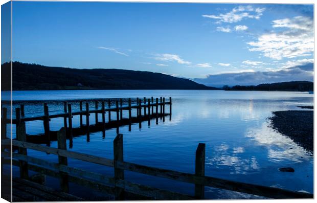 Coniston Jetty Canvas Print by david rodgers