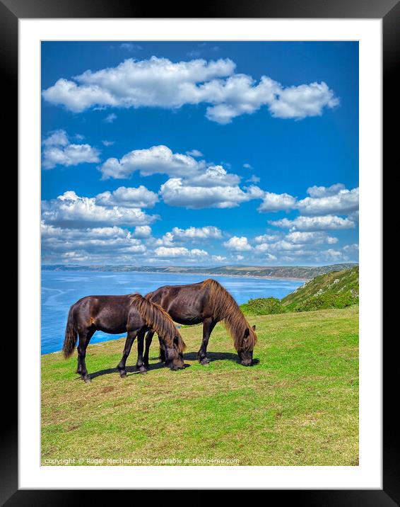 Coastal Horses Framed Mounted Print by Roger Mechan