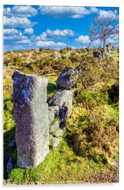 Windworn walls amidst Dartmoor's wilderness Acrylic by Roger Mechan