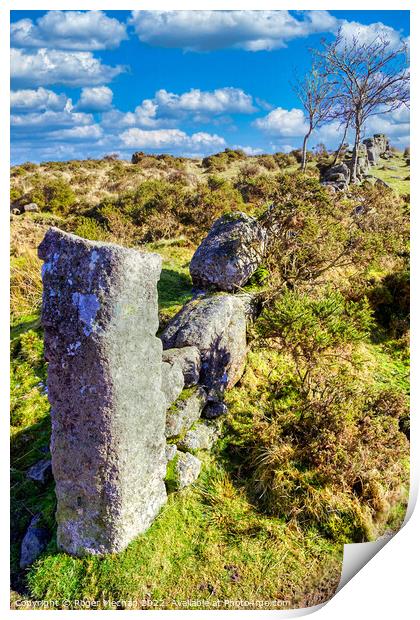 Windworn walls amidst Dartmoor's wilderness Print by Roger Mechan