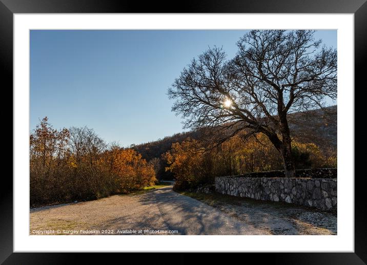 The road in a Balkanian mountains. Croatia. Framed Mounted Print by Sergey Fedoskin