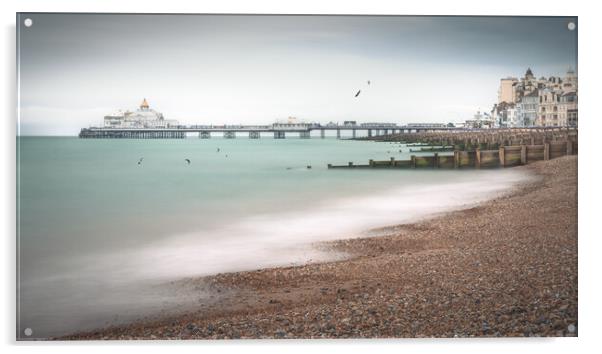 Eastbourne Pier and Beach Acrylic by Mark Jones