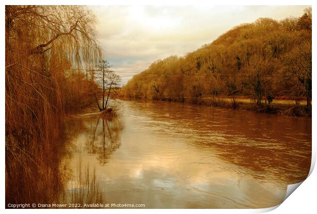 The river Wye in flood  Print by Diana Mower