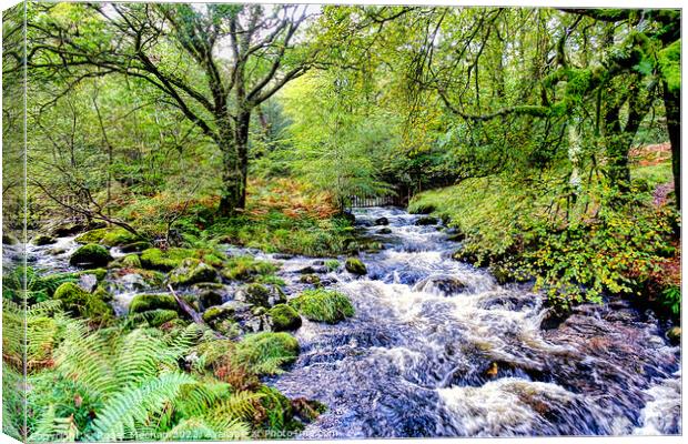Rushing River in Dartmoor Woodland Canvas Print by Roger Mechan