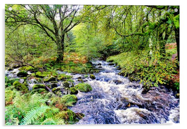 Rushing River in Dartmoor Woodland Acrylic by Roger Mechan