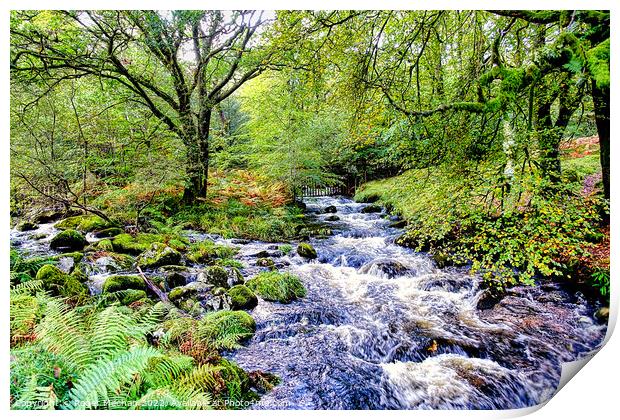 Rushing River in Dartmoor Woodland Print by Roger Mechan