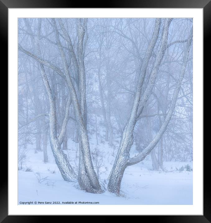 High Key Image of Snow spotted trees in Winter Framed Mounted Print by Pere Sanz