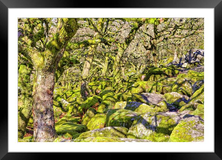 Enchanting Dwarf Woodland Framed Mounted Print by Roger Mechan