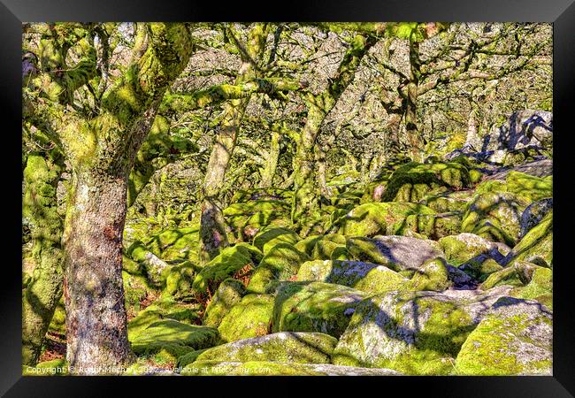 Enchanting Dwarf Woodland Framed Print by Roger Mechan