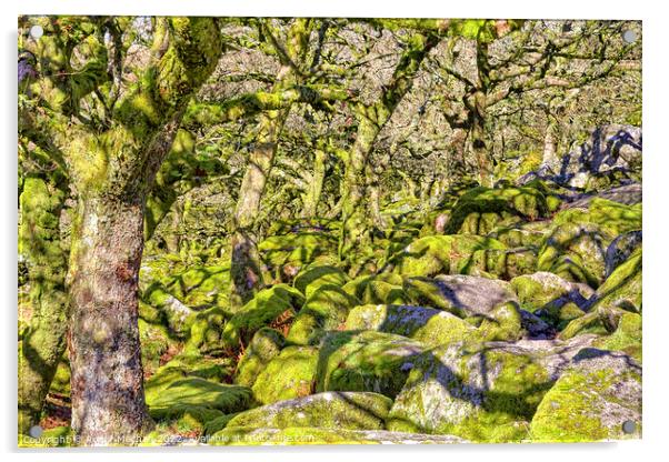 Enchanting Dwarf Woodland Acrylic by Roger Mechan