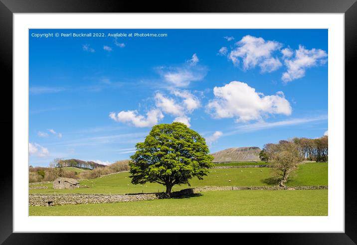 English Countryside in Yorkshire Dales England Framed Mounted Print by Pearl Bucknall