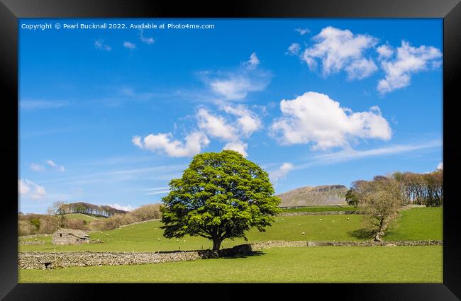 English Countryside in Yorkshire Dales England Framed Print by Pearl Bucknall