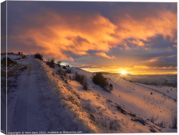 Beautiful Winter Sunset in a Snowy Landscape  Canvas Print by Pere Sanz