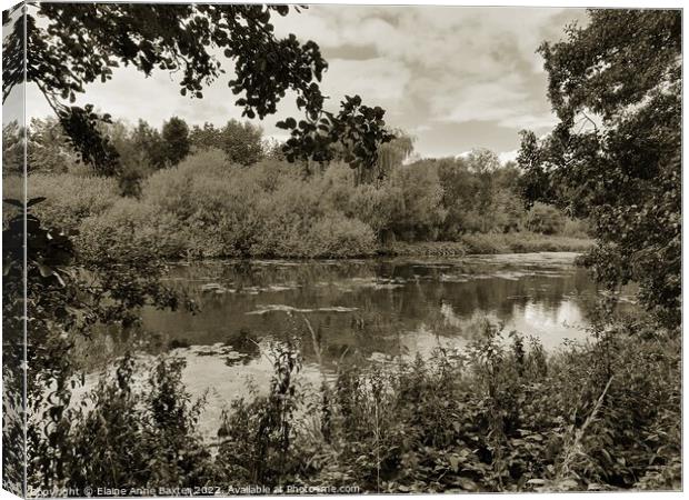 Garden Lake at Newstead Abbey Canvas Print by Elaine Anne Baxter