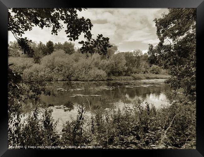 Garden Lake at Newstead Abbey Framed Print by Elaine Anne Baxter
