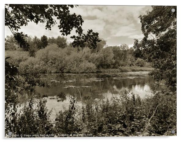 Garden Lake at Newstead Abbey Acrylic by Elaine Anne Baxter