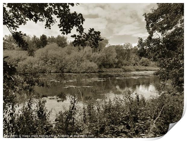Garden Lake at Newstead Abbey Print by Elaine Anne Baxter