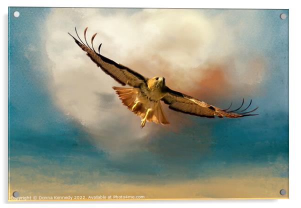 Flying Into the Clouds Acrylic by Donna Kennedy