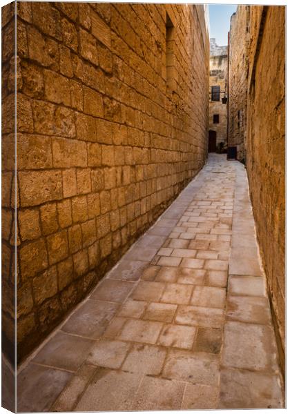 Narrow Alley in Old City of Mdina in Malta Canvas Print by Artur Bogacki