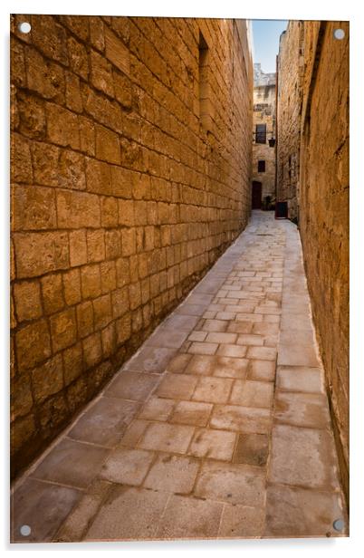 Narrow Alley in Old City of Mdina in Malta Acrylic by Artur Bogacki